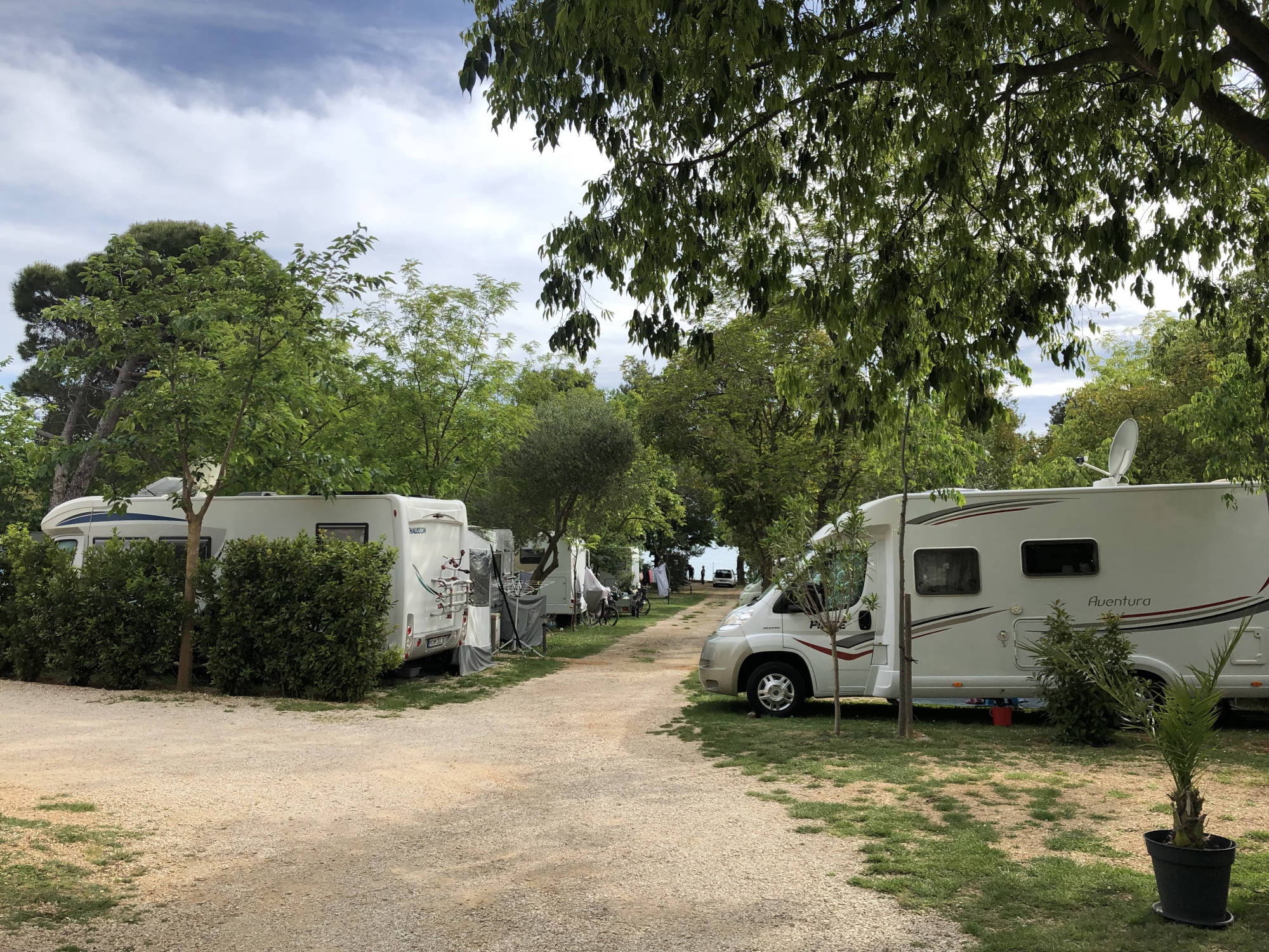 Camping Moe Croatia | Beachfront Camping Sv. Filip i Jakov near Zadar |  Pine Tree Shade & Modern Facilities
